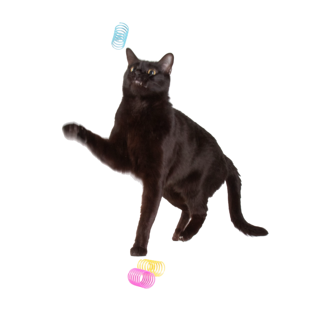 Bouncing Spring Cat Toys product image 1