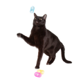 Bouncing Spring Cat Toys product image 1