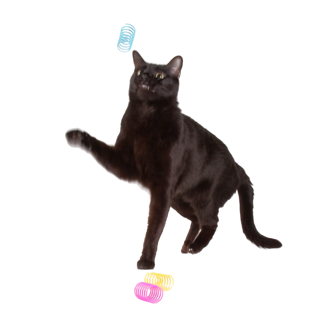 Bouncing Spring Cat Toys product image 1
