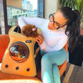 Large Pet Backpack Carrier Gold