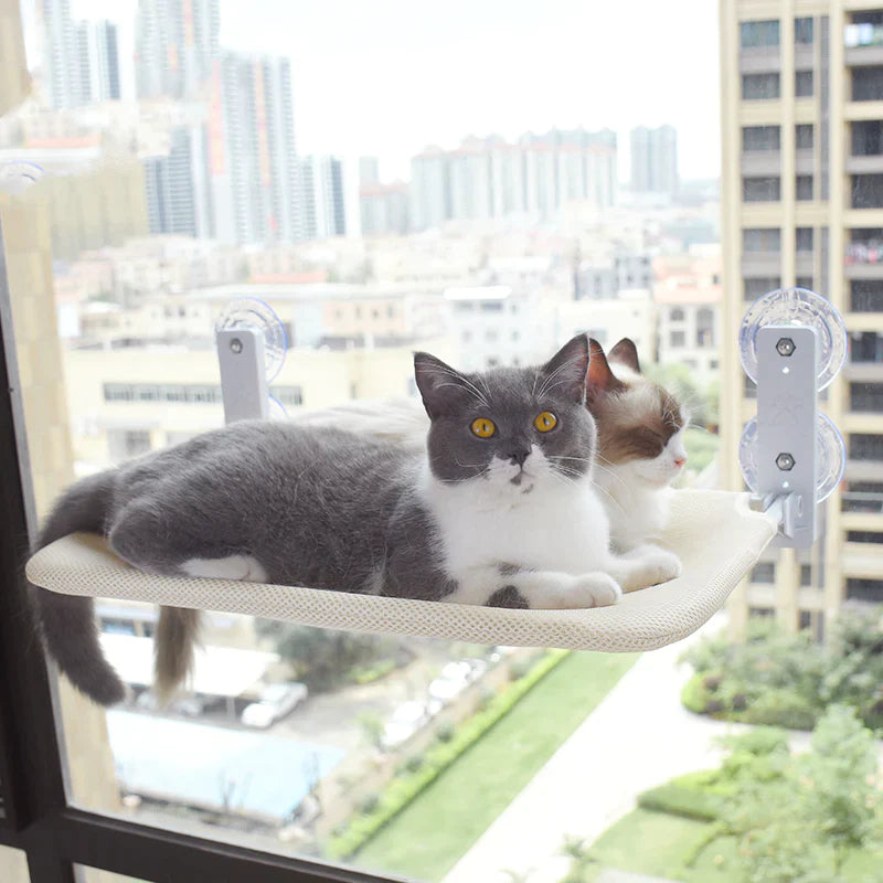 Cat Window Hammock product image 1