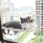 Cat Window Hammock product image 1