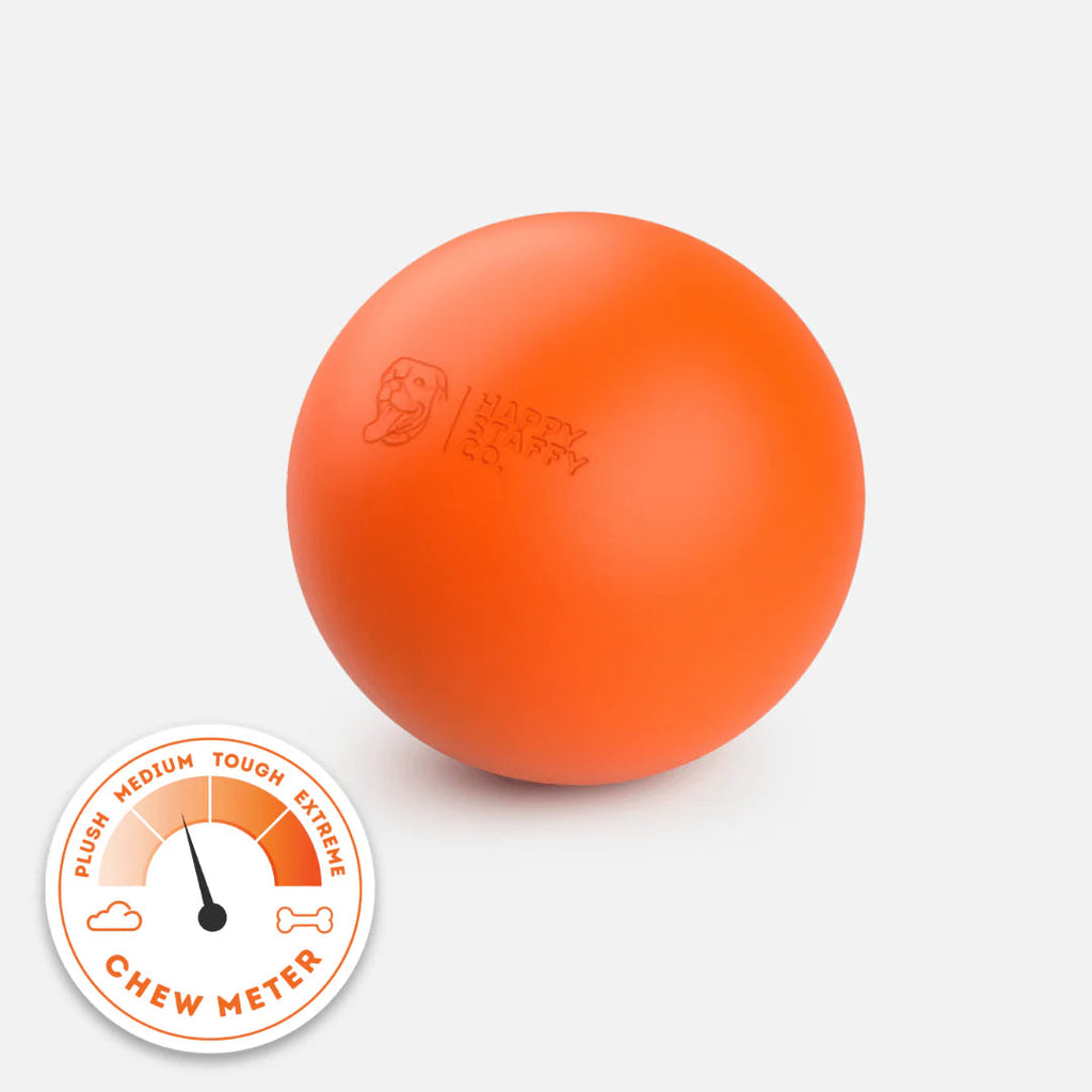 Dog Fetch Ball product image 1