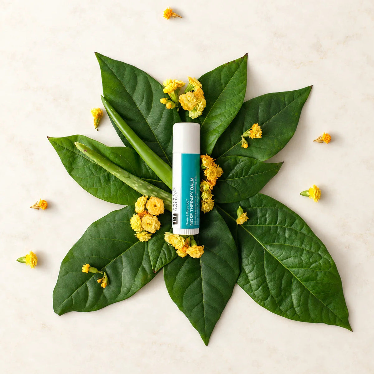Dog Nose Balm product image 1