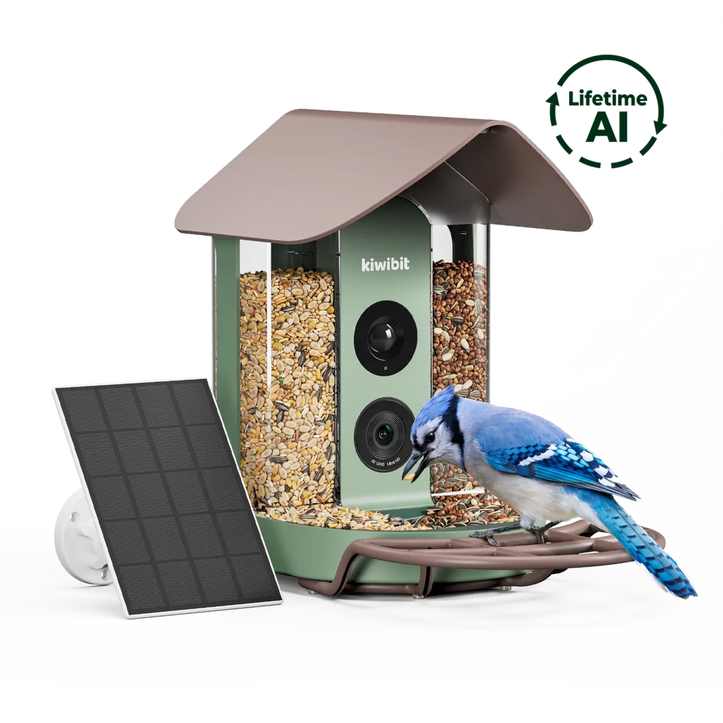 Smart Bird Feeder product image 1