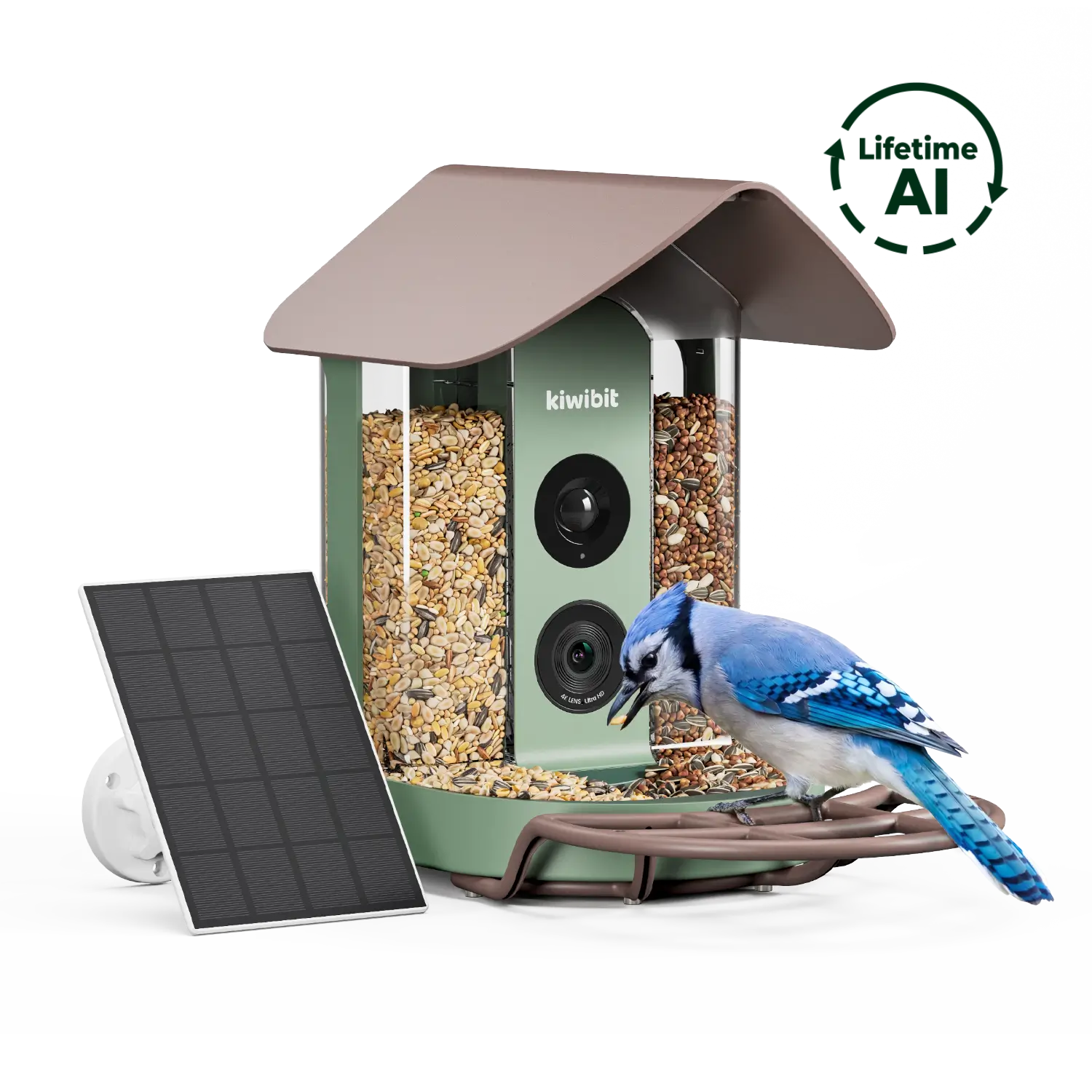 Smart Bird Feeder product image 1