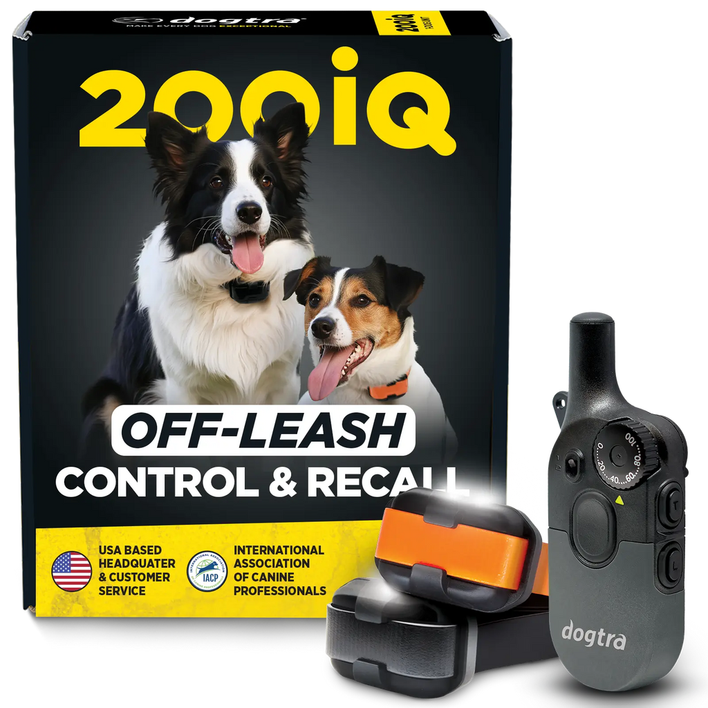 Dog Training Collar product image 1