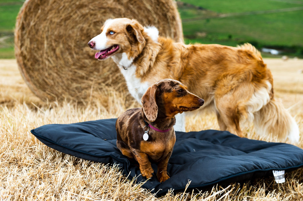Wool Pet Bed product image 1
