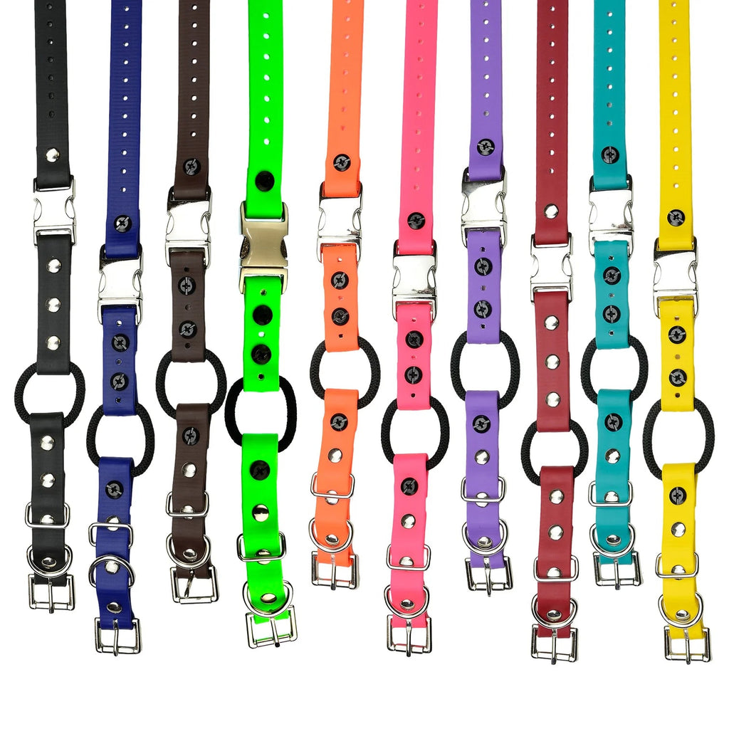 Ecollar Strap product image 1