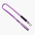 Dog Leash product image 1