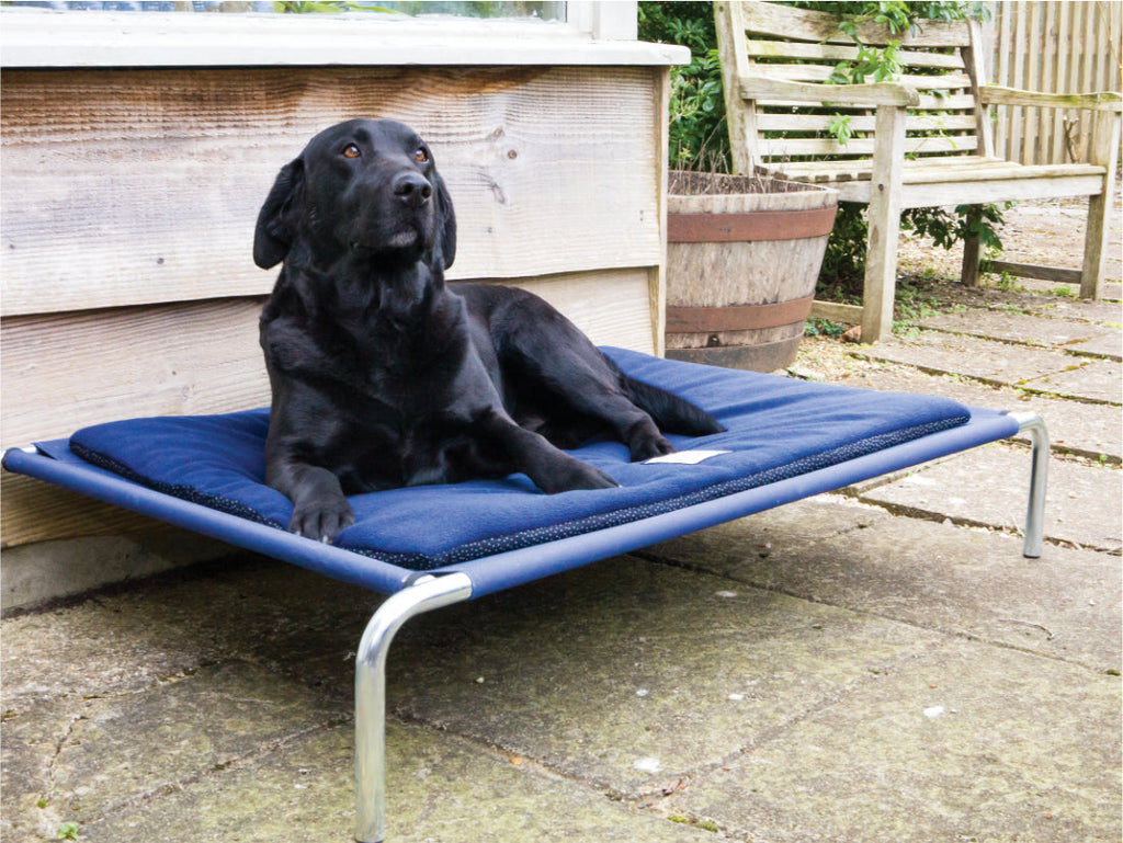 Raised Dog Bed product image 1