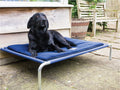 Raised Dog Bed product image 1