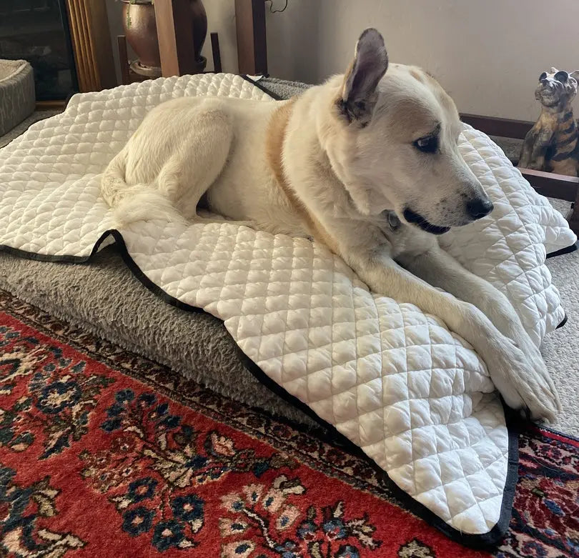 Quilted Dog Cooling Mat product image 1