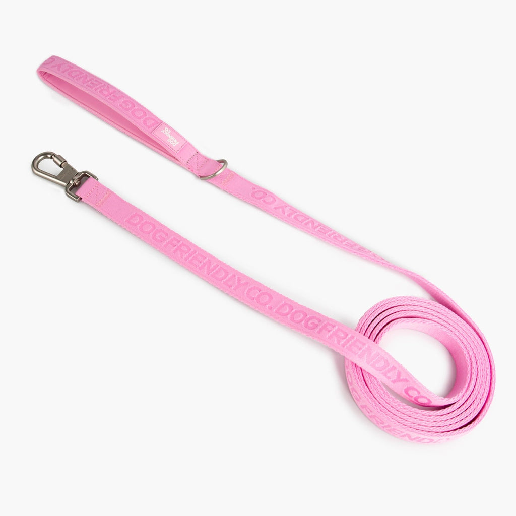 Long Dog Leash product image 1
