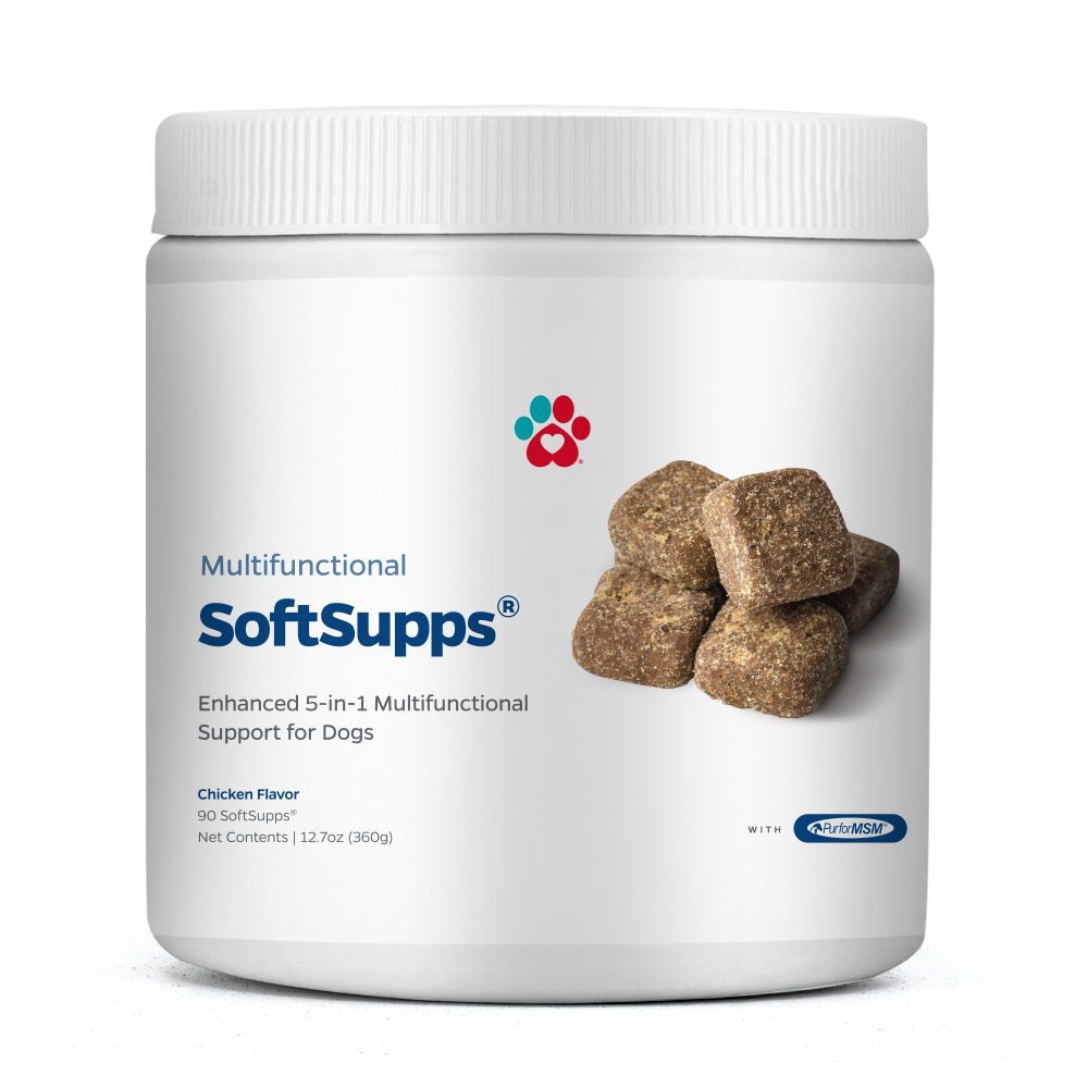 Chicken-Flavored Dog Multivitamin Chews product image 1