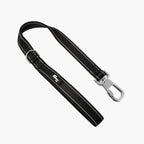 Dog Leash product image 1