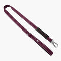 Dog Leash product image 1