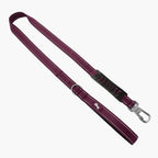 Dog Leash product image 1