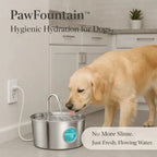 Dog Water Fountain product image 1