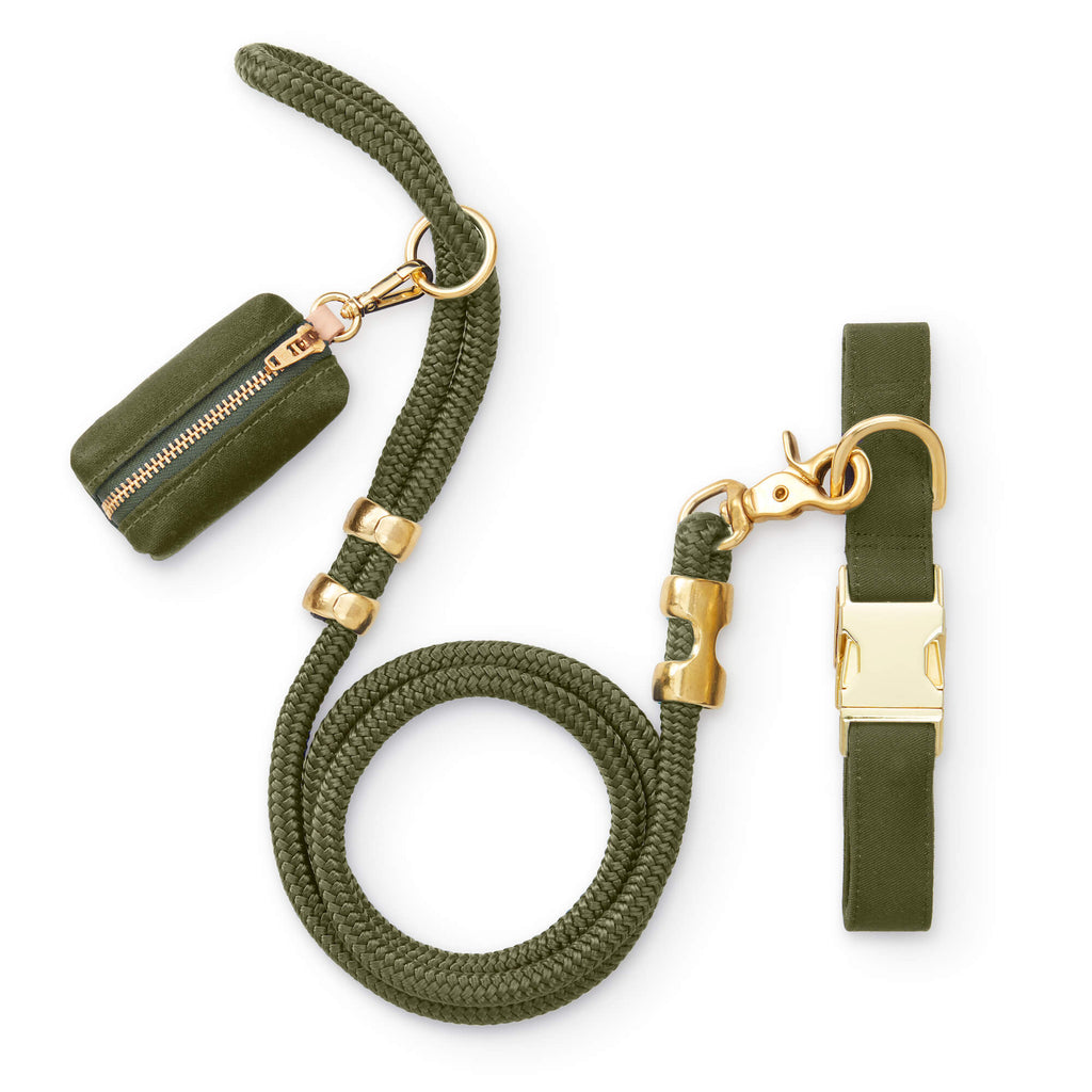 Dog Walk Set product image 1