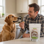 Pumpkin Dog Treats product image 1