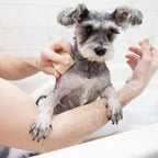 Dog Soap product image 1