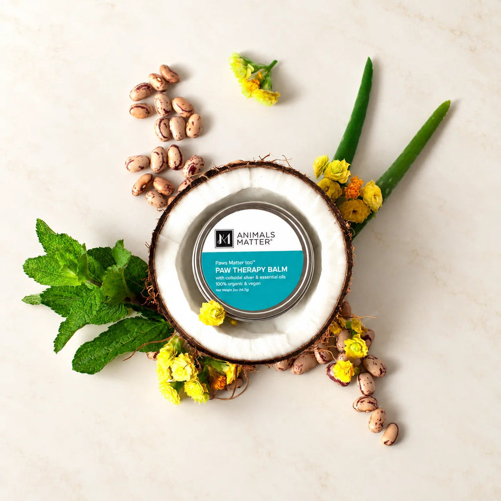 Dog Paw Balm product image 1