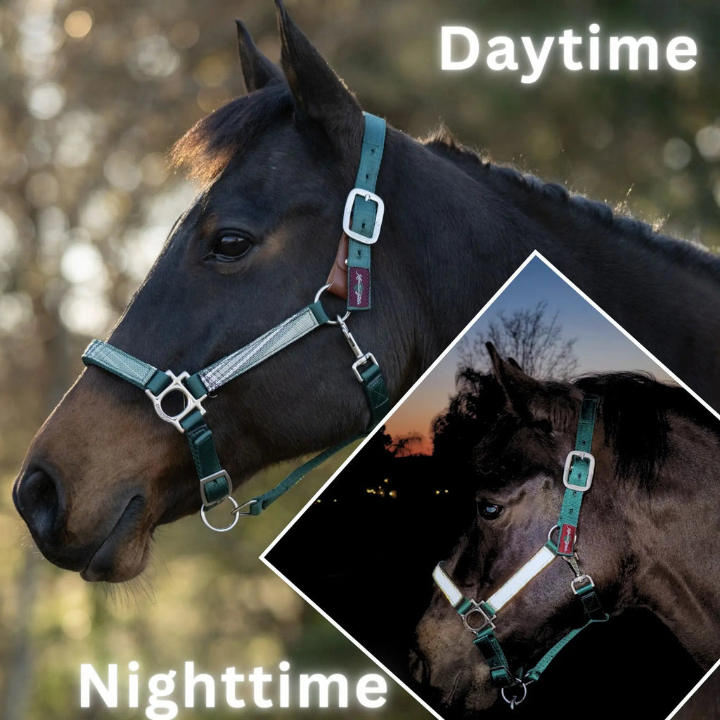 Breakaway Horse Halter product image 1