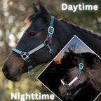 Breakaway Horse Halter product image 1