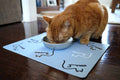 Waterproof Cat Feeding Placemat product image 1