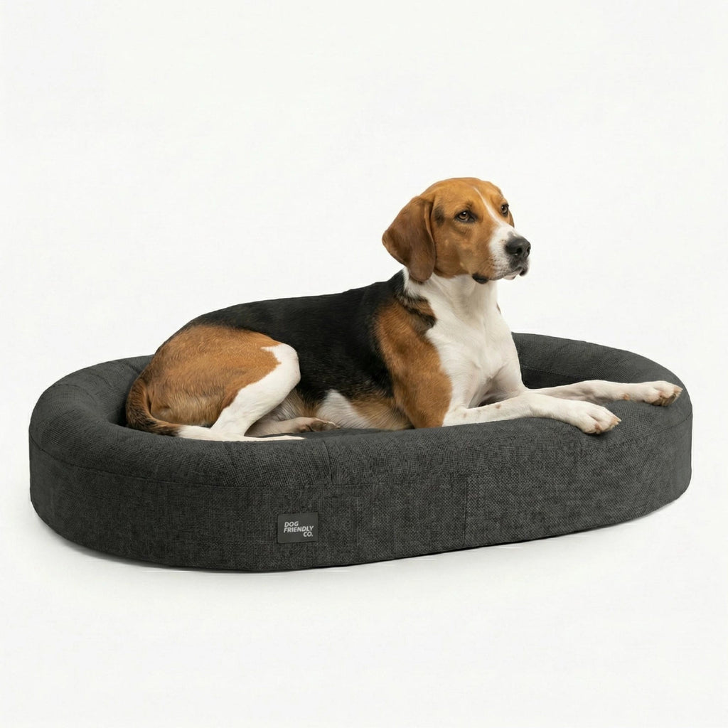 Memory Foam Dog Bed product image 1