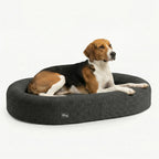 Memory Foam Dog Bed product image 1