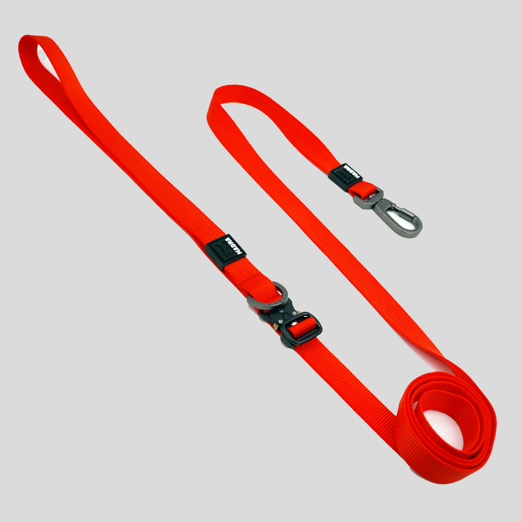 Adjustable Hands-Free Dog Leash product image 1