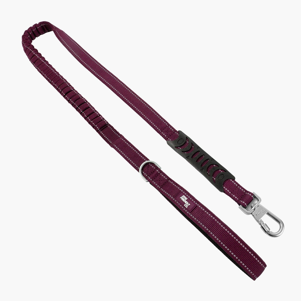 Bungee Dog Leash product image 1
