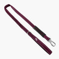 Bungee Dog Leash product image 1