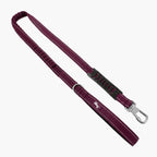 Bungee Dog Leash product image 1