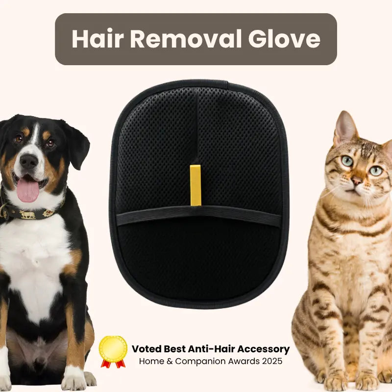 Pet Hair Removal Glove product image 1