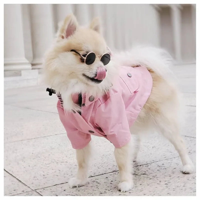 Dog Raincoat product image 1