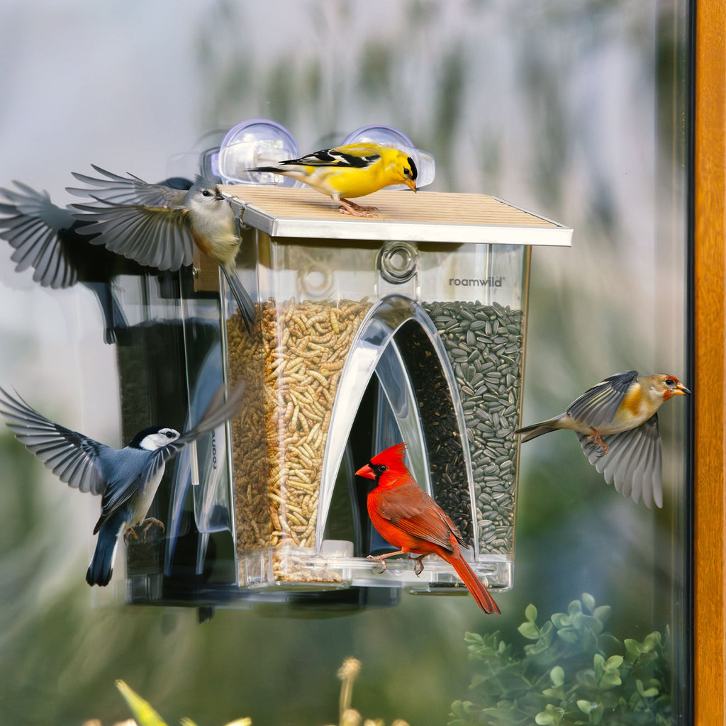 Window Bird Feeder product image 1