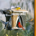 Window Bird Feeder product image 1