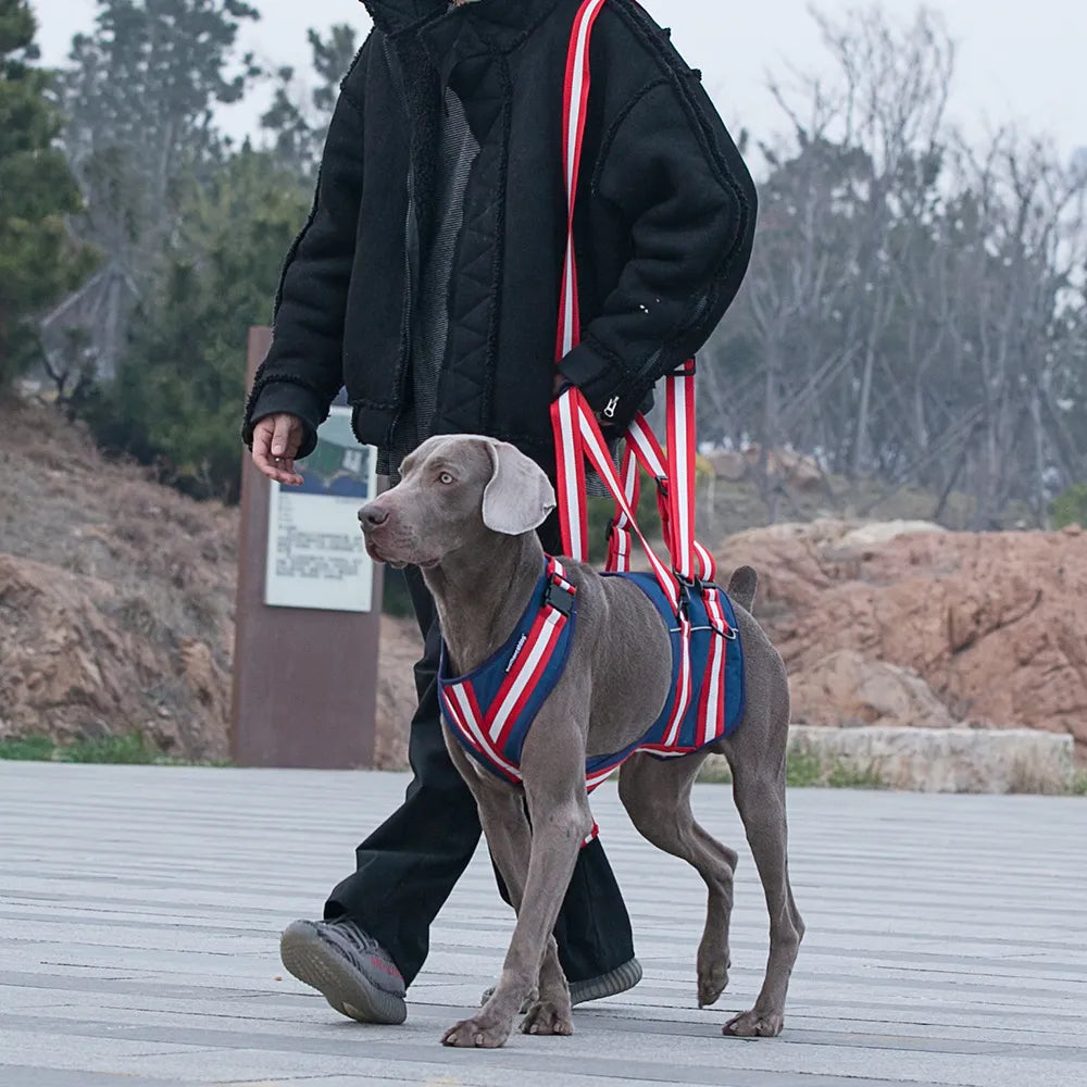 Dog Lift Harness product image 1