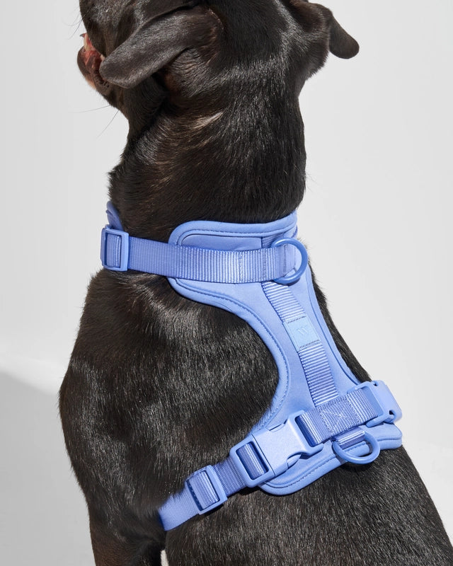 Dog Harness product image 1