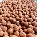 Rabbit Molt Support Treats product image 1