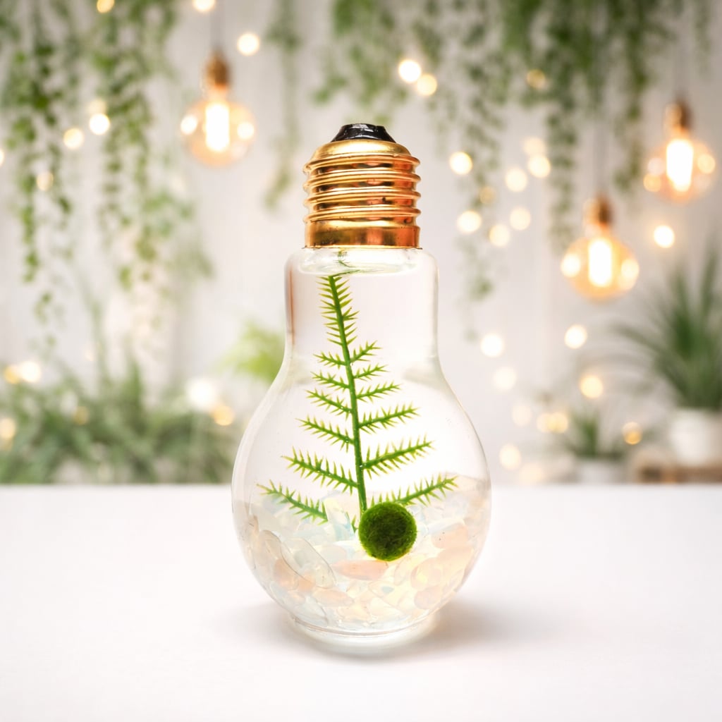 Light Bulb Terrarium product image 1