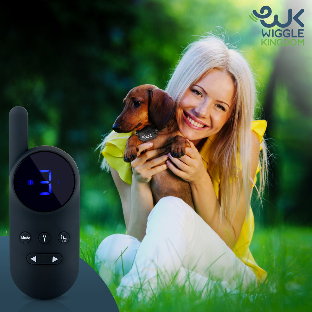 Rechargeable Remote Training Collar for Small Dogs, 1,000-Foot Range plus Tone, Vibration and Static Modes source image 2