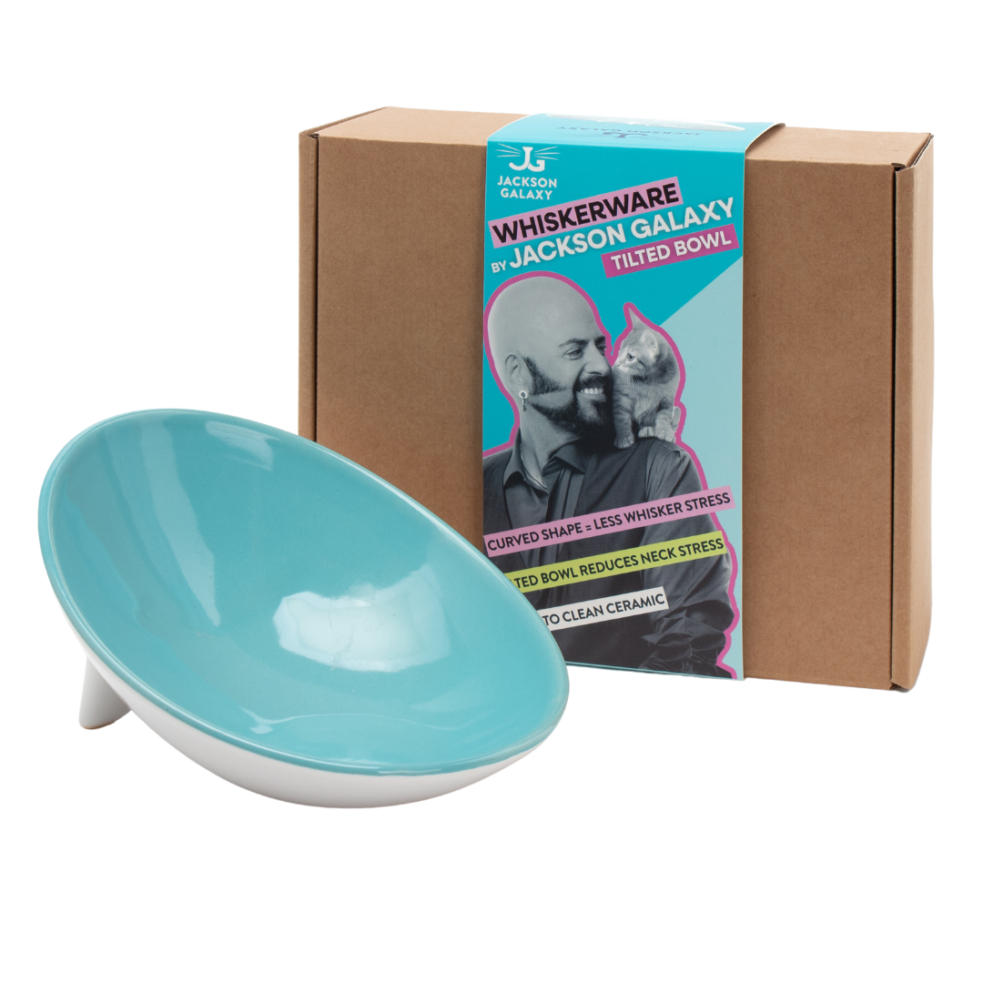 Tilted Ceramic Cat Bowl with Wide Oval Shape for Whisker-Friendly Wet and Dry Food Mealtimes source image 2