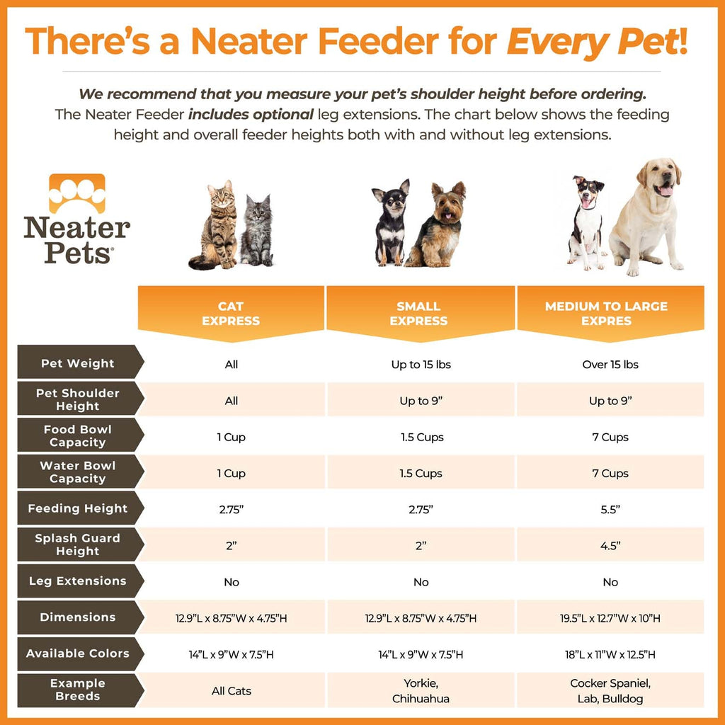 Elevated Mess-Proof Pet Feeding Station, Spill-Containment Design and Dishwasher-Safe Stainless Steel Bowls source image 2