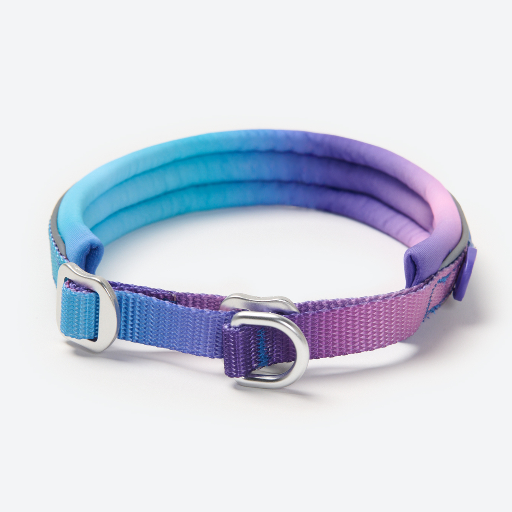 Cushioned Martingale Dog Collar for Gentle Leash Guidance, Limited-Cinch Design in Five Sizes source image 2