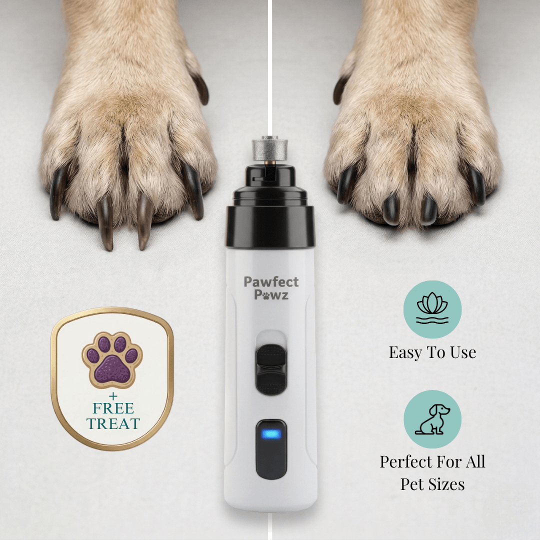 Electric Pet Nail Grinder, USB-C Rechargeable Two-Speed Tool with Three Guards and Diamond Grinding Head source image 2