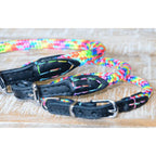 Rainbow Rope and Leather Dog Collar, Round Anti-Matting Design with Chrome Hardware in Nine Sizes source image 2